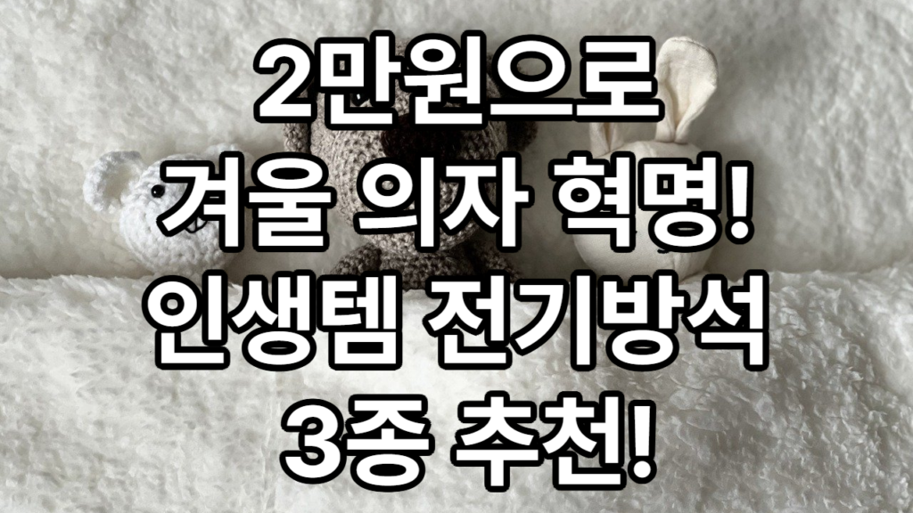 “엉덩이의 은밀한 친구, 전기방석의 모든 것!” – 당신의 겨울을 따뜻하게 만들 작은 영웅